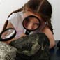 Dino Scene Investigation